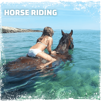 Horse riding tours in south istria